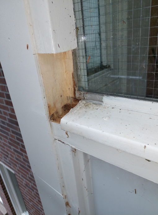 Scherm­afbeelding 2025-05-21 om 10.40.35